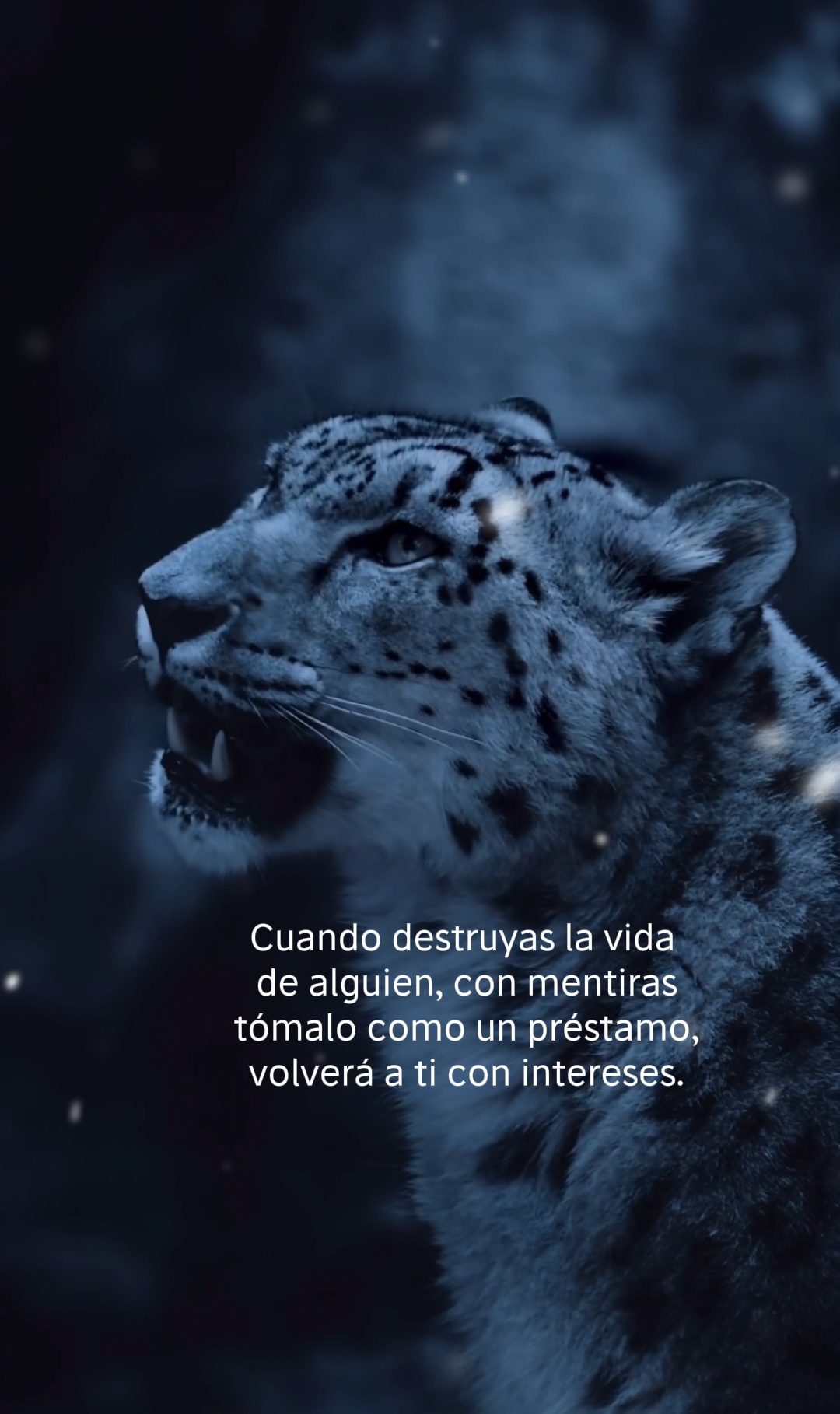 Todo se paga… 