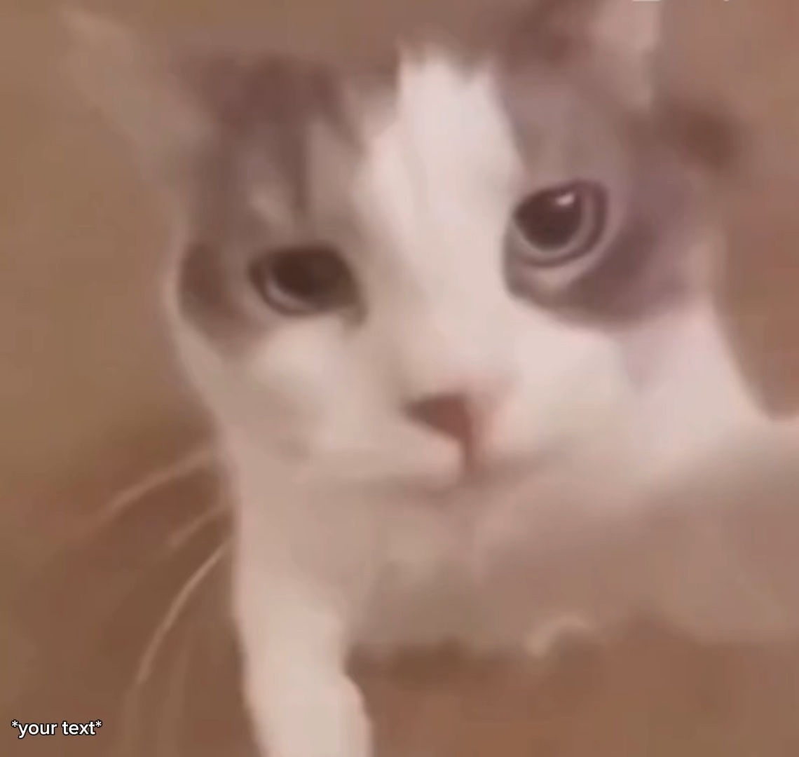 Katze Meme