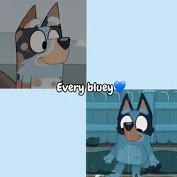 Bluey