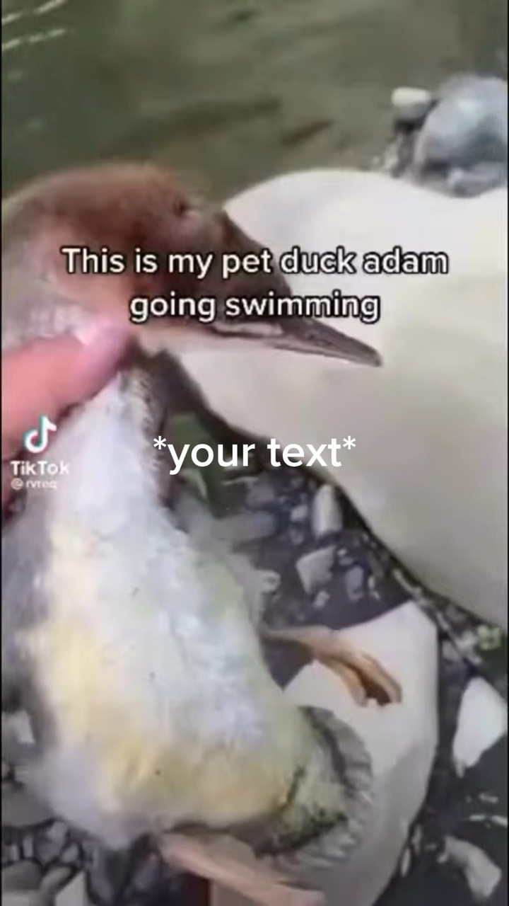 아다아아아암