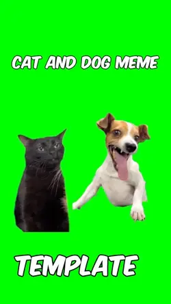 Cat and dog meme 