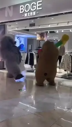 BEAR FIGHT! 