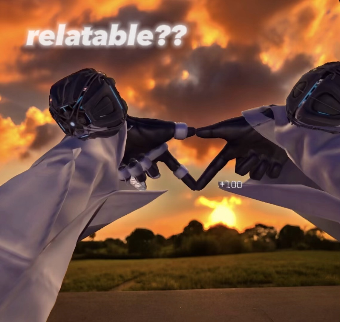 sry 4 the cuss words