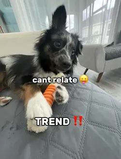 “my dog is so ugly”😛