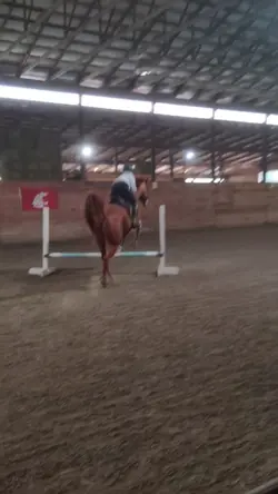diagonallll