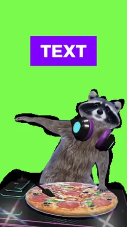 Racoon dj  meme