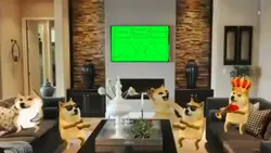Shiba party