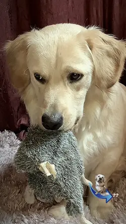 Do you love me? 🩵💙