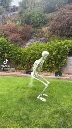 Skeleton