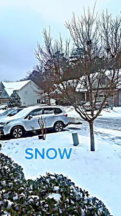 SNOWWW ❄️ 