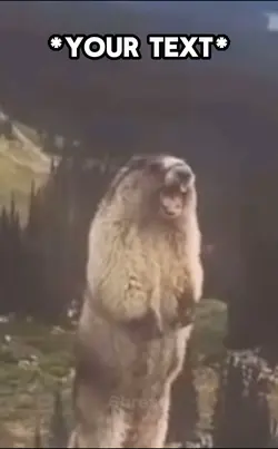 aAaAaAaAh Meme