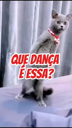 Que Dança É Essa?