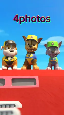 Paw patrol 