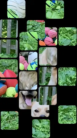 1pic- Gettin tipsy💙🩵