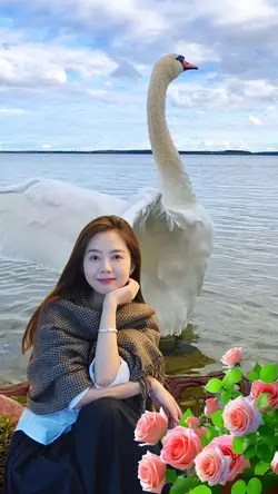 Holy white swan