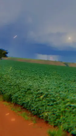 Pecuária 2.0💥🎶🌿❣️