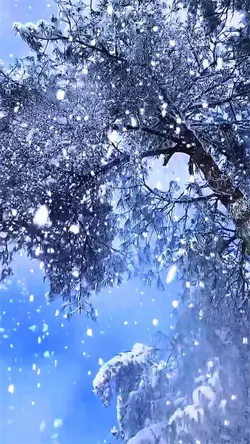 Heavy snow