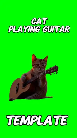 Cat playing guita