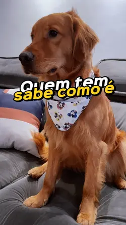 Meme 