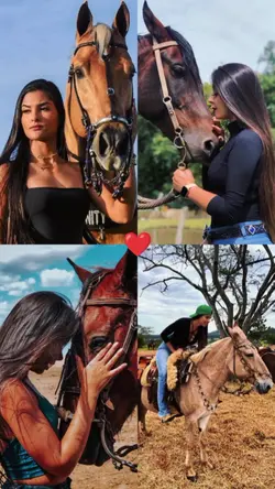 cavalo minha paixão 