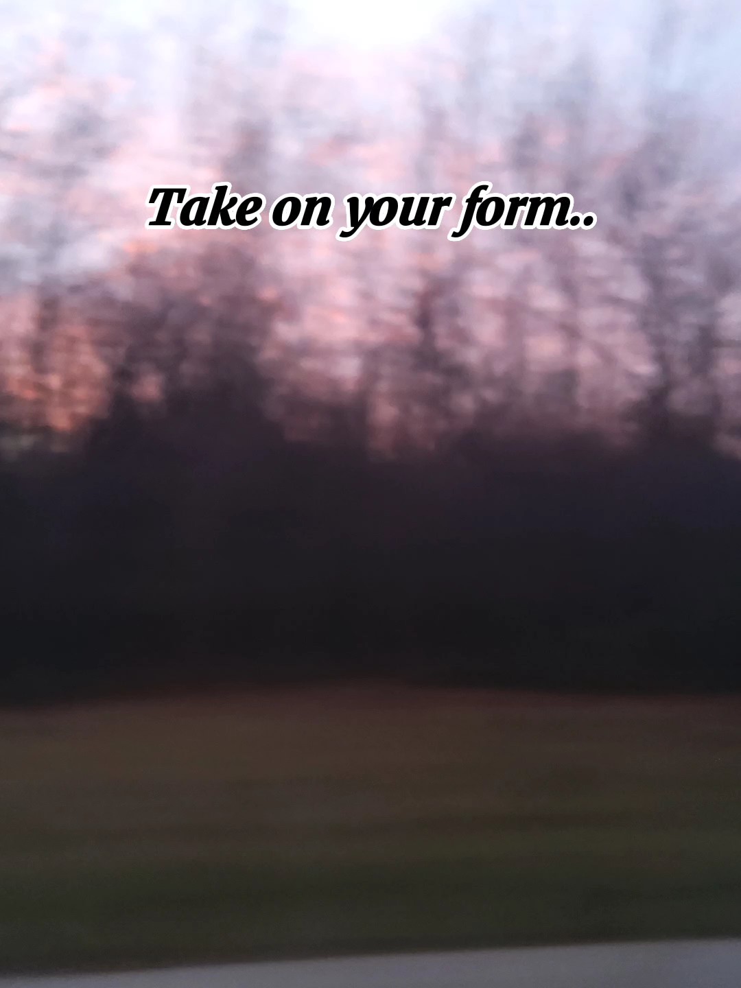 Lucky is she..