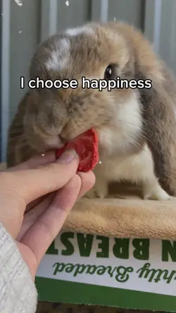 I choose happiness 