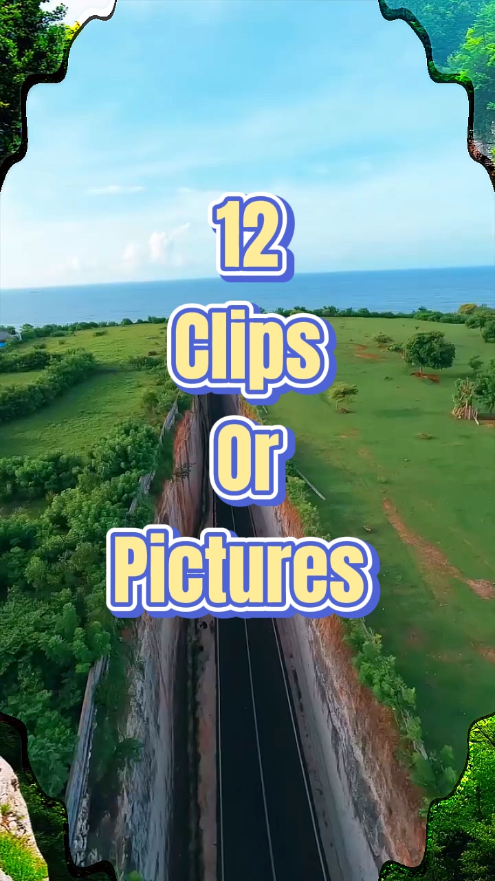 12 clips or pictures