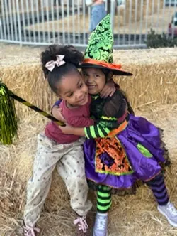 Pumpkin patch 2024