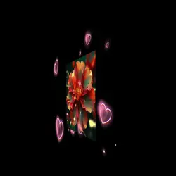 #beautifulpinkflower