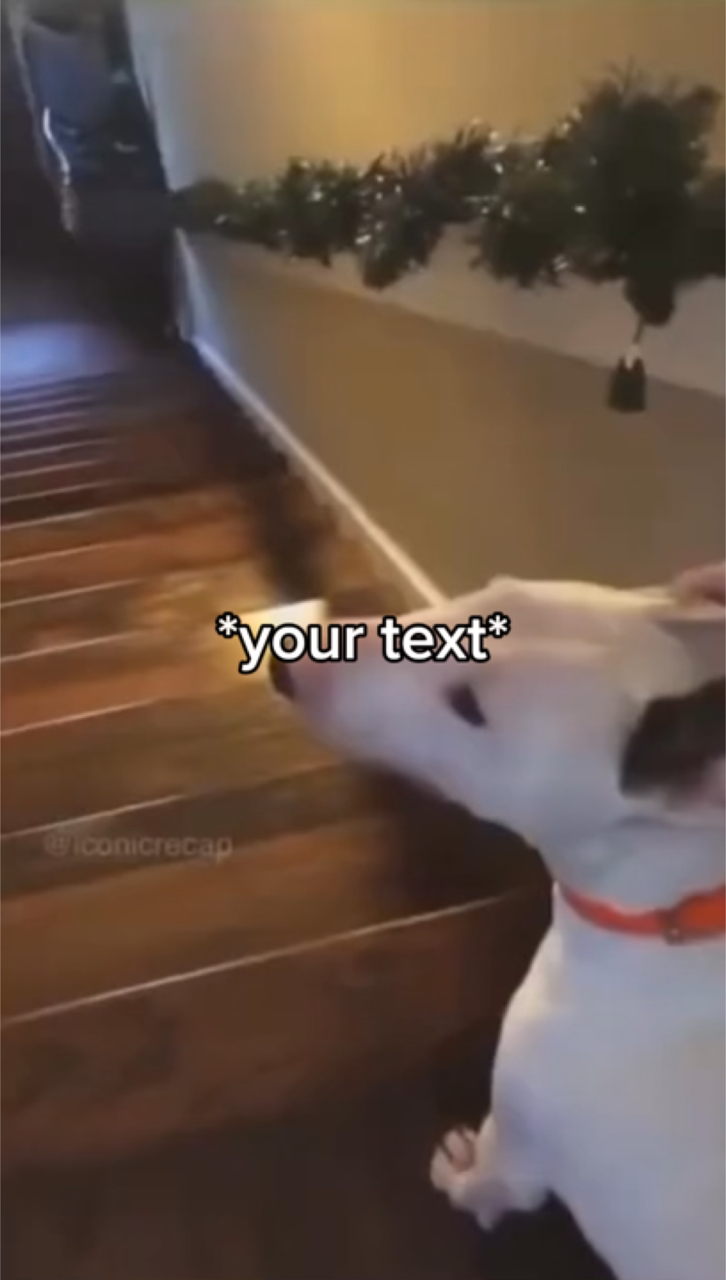 Escaleras de perro meme