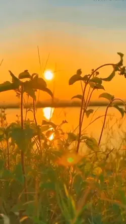 Sad emotional sunset