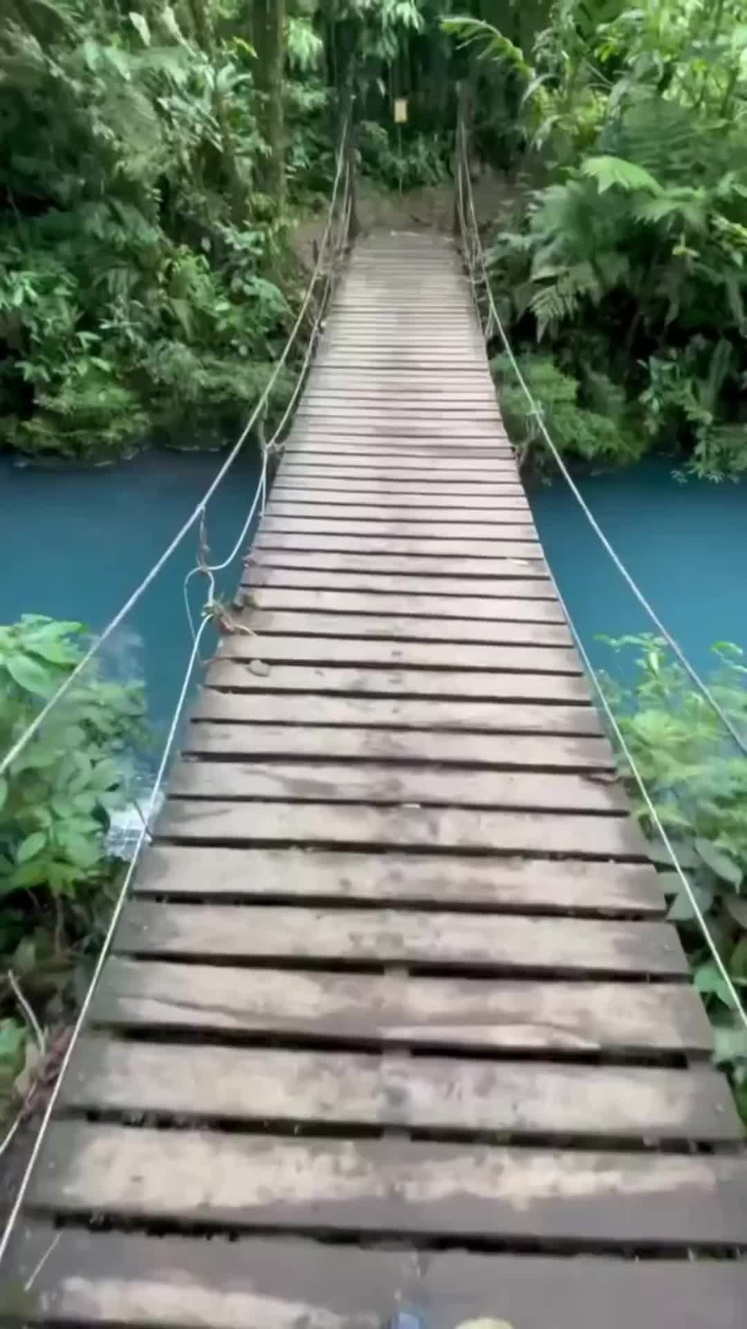 Transição de mão 