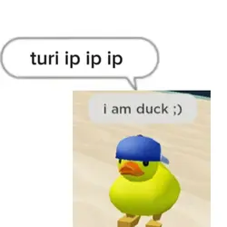 turi ip