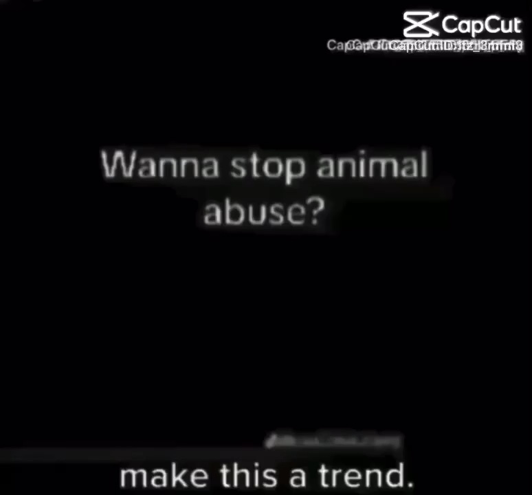 Please stop animal