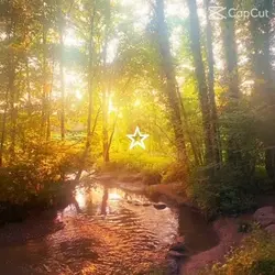 Free nature pics w/