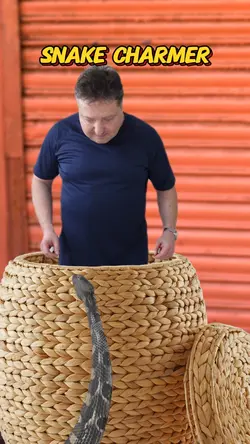 Snake Charmer 