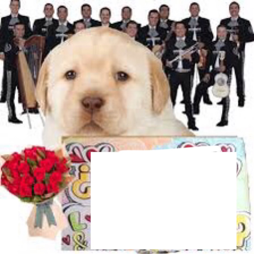 Quieres ser mi?