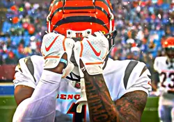 Bengals Edit