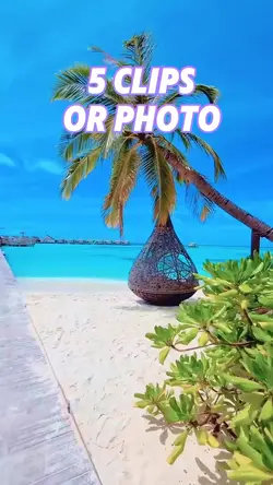 Mini vlog