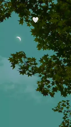 Tiktok / erhanlyrics