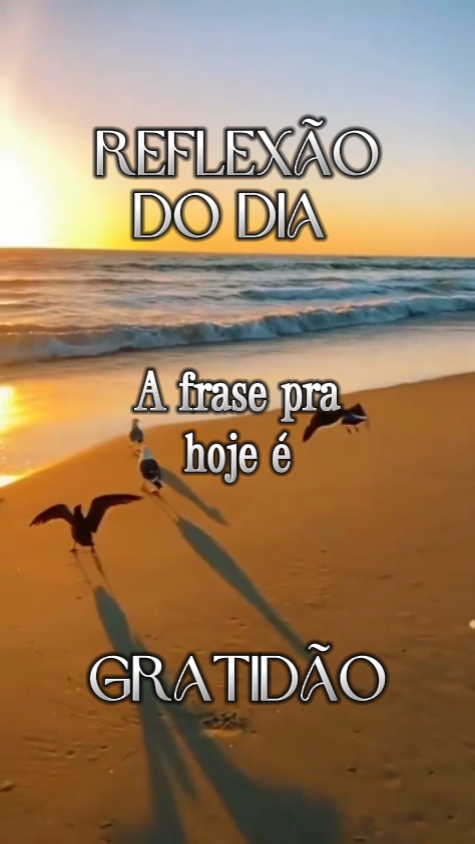 A Frase Pra hoje 