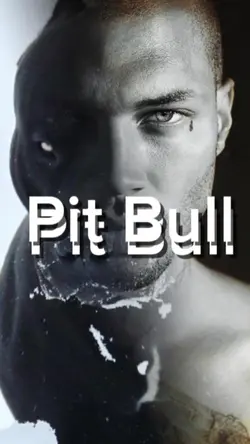 Pit Bull 