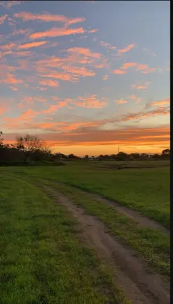 Which cow are you???