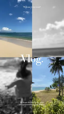 VLOG I