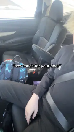 can’t leave his dog 