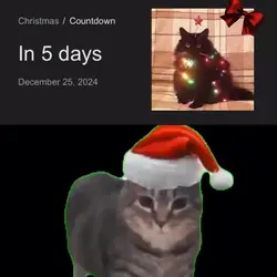 MEOWY CHRISTMAS 🎄❤️✝️