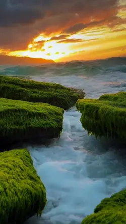 video or photo 