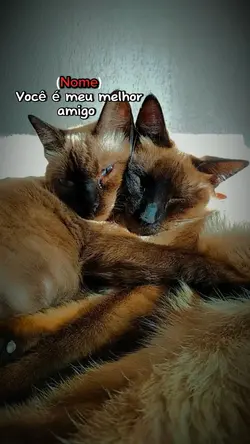 Amigos para sempre 🥹