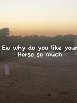 1000 reasons 🐷💗