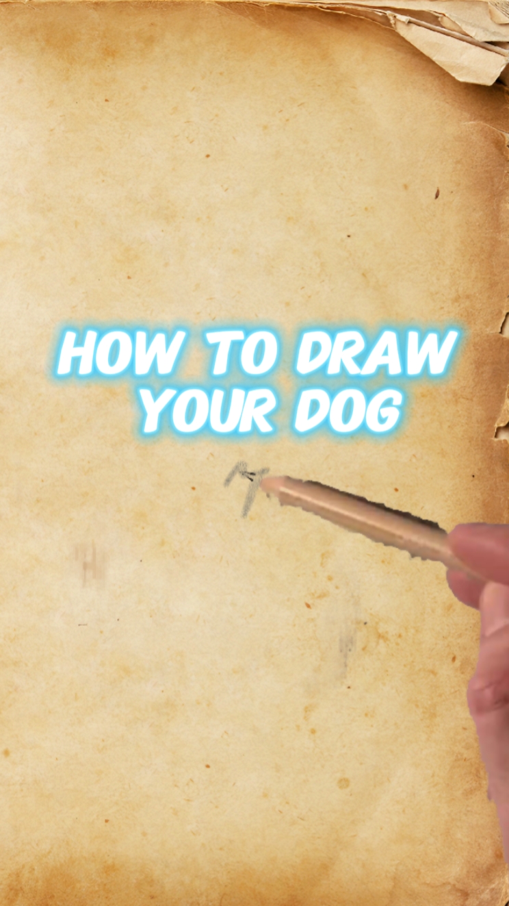 Dibujando a tu perro